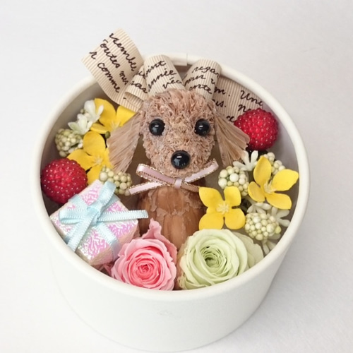 お花で作ったワンちゃん[ちいさな友達：ミニチュアダックスフンド BOX  