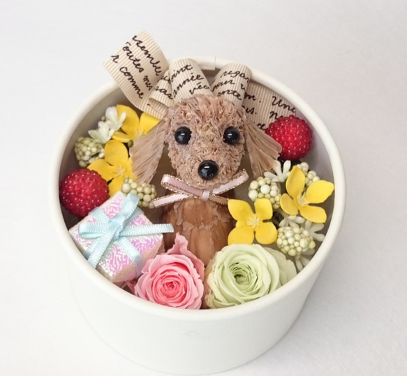 フラワーアレンジ&ダックスちゃん