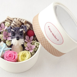 ダックスフンドから愛をこめて・・] バレンタインデー＆ホワイトデー