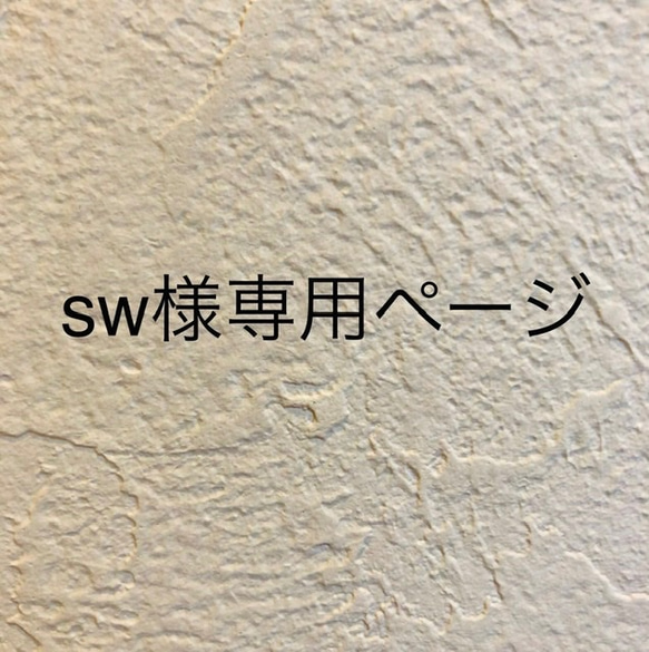 sw様専用ページ 1枚目の画像