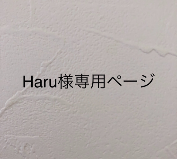 Haru様専用ページ 1枚目の画像