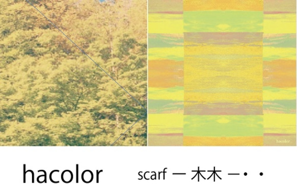 大判スカーフ【ー  木木  －・・】 天然シルク：絹100% 5枚目の画像