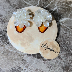 ★北海道の果樹園とコラボ！「押しフルーツ」◆いちごピアス/イヤリング◆#128-131 1枚目の画像