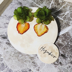 ★北海道の果樹園とコラボ！「押しフルーツ」◆いちごピアス/イヤリング◆#128-131 4枚目の画像