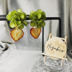 ★北海道の果樹園とコラボ！「押しフルーツ」◆いちごピアス/イヤリング◆#128-131 6枚目の画像