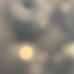 ★北海道の果樹園とコラボ！「押しフルーツ」◆ブラックいちごピアス◆#132 3枚目の画像