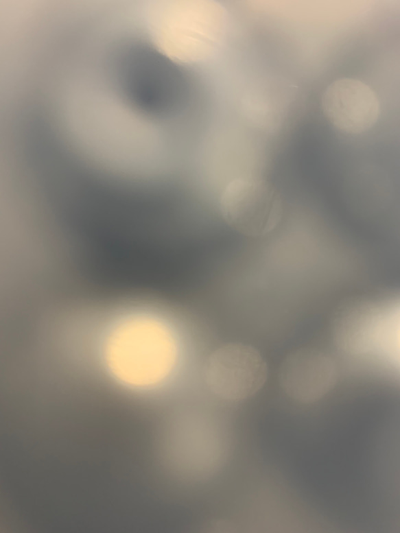 ★北海道の果樹園とコラボ！「押しフルーツ」◆ブラックいちごピアス◆#132 3枚目の画像