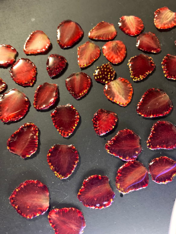 ★北海道の果樹園とコラボ！「押しフルーツ」◆ブラックいちごピアス◆#132 5枚目の画像