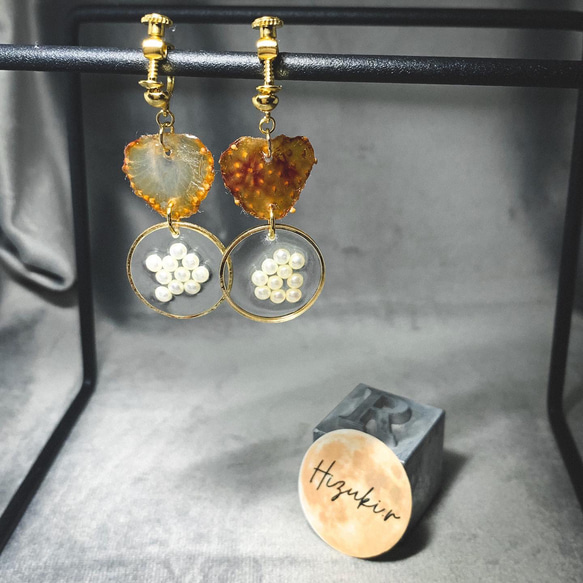 ★北海道の果樹園とコラボ！「押しフルーツ」◆いちごピアス/イヤリング◆#137-138 5枚目の画像