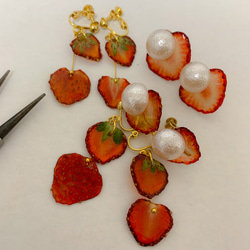 ★北海道の果樹園とコラボ！「押しフルーツ」◆いちごピアス/イヤリング◆#137-138 6枚目の画像