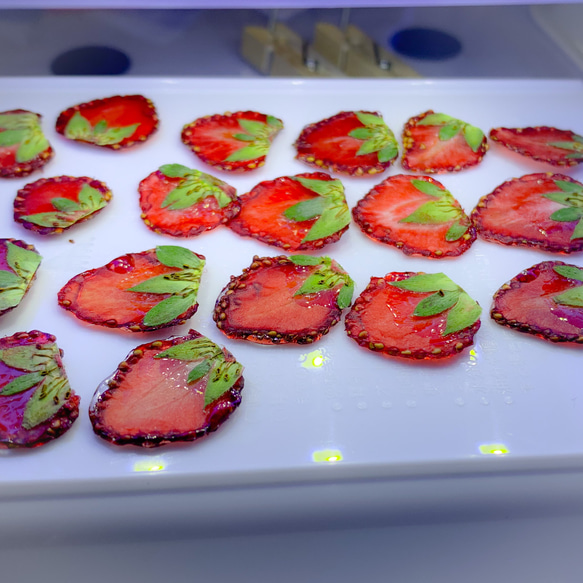 ★北海道の果樹園とコラボ！「押しフルーツ」◆いちごピアス/イヤリング◆#137-138 7枚目の画像