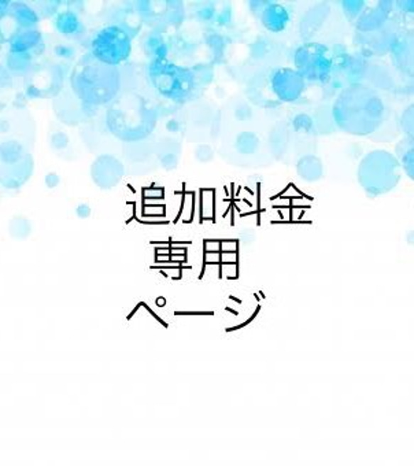 【追加料金】打ち合わせ後の専用ページ 1枚目の画像