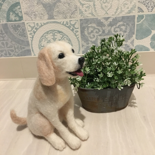 羊毛フェルト 犬 ラブラドールレトリーバー 羊毛フェルト 花