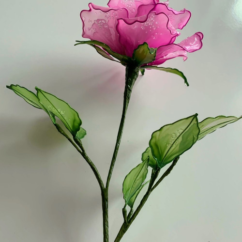 0_24b651ce8f2c64423fe9bdceaad7