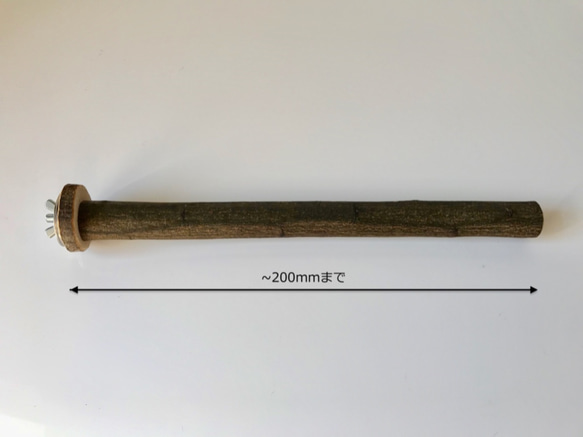 【受注製作】長200mmキャリー用自然木止まり木（国産樫） 1枚目の画像