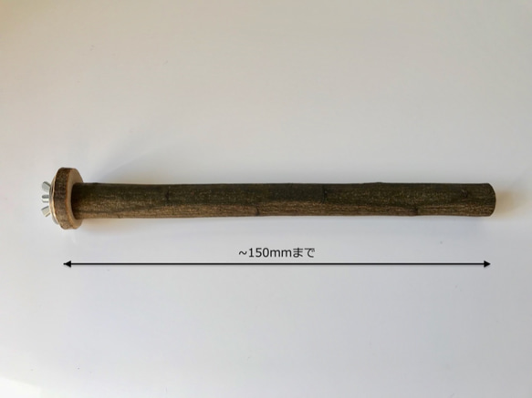 【受注製作】長150mmキャリー用自然木止まり木（国産樫） 1枚目の画像