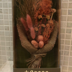 セール価格限定1セット 国産 特大の晩生パンパスグラス 10本セット