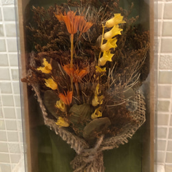 国産 特大の晩生パンパスグラス 5本セット ドライフラワー linka-gift