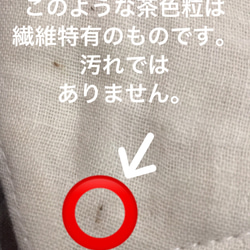 再販出荷予定３月下旬　予約販売　ガーゼ4重　成人用　立体マスク　1枚入り　職場　赤ちゃんのようなふわふわガーゼ　生成 8枚目の画像