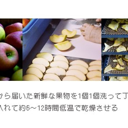 国産　山口県徳佐のドライフルーツ　まるごとリンゴ　40ｇ╱ワックスバーやハーバリウムにも 5枚目の画像