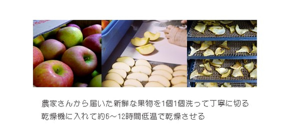 国産　山口県徳佐のドライフルーツ　まるごとリンゴ　40ｇ╱ワックスバーやハーバリウムにも 5枚目の画像