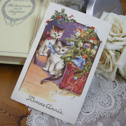 アンティークポストカード　ヘレナマグワイア　猫の看病 アンティークポストカードヘレナマグワイア猫の看病