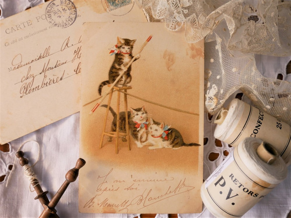 フランスアンティ－クポストカード（ヘレナ・マグワイア/綱渡りをする猫） 1枚目の画像
