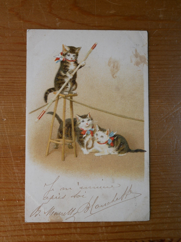 フランスアンティ－クポストカード（ヘレナ・マグワイア/綱渡りをする猫） 2枚目の画像
