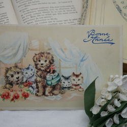 フランスアンティ－クポストカード（子犬と子猫） 1枚目の画像