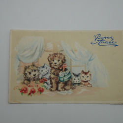 フランスアンティ－クポストカード（子犬と子猫） 2枚目の画像