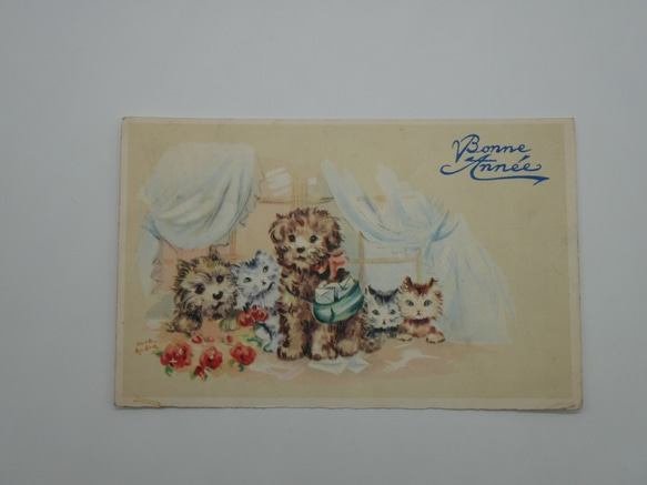 フランスアンティ－クポストカード（子犬と子猫） 2枚目の画像
