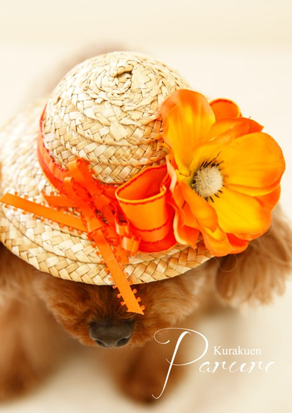 写真撮影用にピッタリ！！愛犬＆愛猫の麦わら帽子　オレンジアネモネ 2枚目の画像