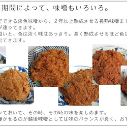 味噌作り材料セット（やや甘口版）7kg用 樽付き（大豆1.48kg,米麹2.44kg,塩850g） 3枚目の画像