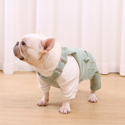 冬服新作入荷　犬服　フレンチブルドッグ　パグ　柴犬　トイプードル　コーギー 2枚目の画像