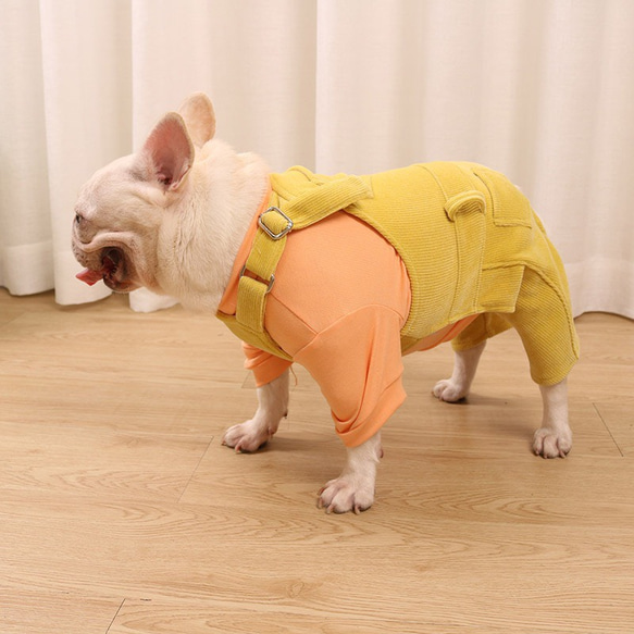 冬服新作入荷　犬服　フレンチブルドッグ　パグ　柴犬　トイプードル　コーギー 4枚目の画像