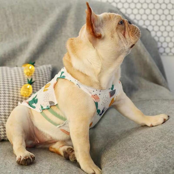 夏服新作　犬服　チュール　タンクトップ　フレンチブルドッグ　トイプードル　チワワ 3枚目の画像