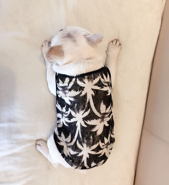 夏服新作　犬服　フレンチブルドッグ　トイプードル　パグ　柴犬　ボストンテリア 2枚目の画像