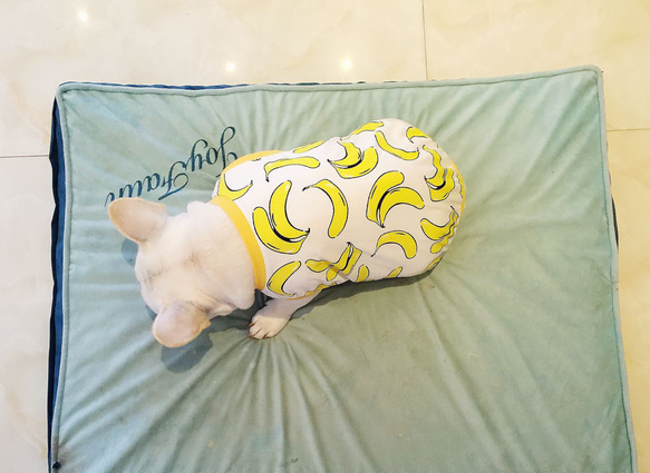 犬服　夏服　フレンチブルドッグ　トイレ　ポメラニアン　シーズー　パグ　コーギー 2枚目の画像