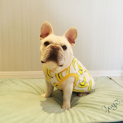 犬服　夏服　フレンチブルドッグ　トイレ　ポメラニアン　シーズー　パグ　コーギー 5枚目の画像