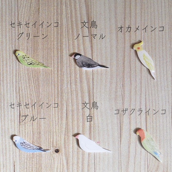 小鳥のピアス・イヤリング（インコ/ブンチョウ） 2枚目の画像
