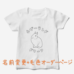 うさぎの種類Tシャツ 名前+毛色オーダーページ 1枚目の画像