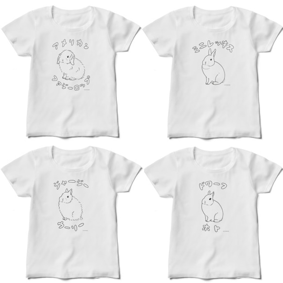 うさぎの種類Tシャツ 名前+毛色オーダーページ 3枚目の画像