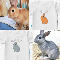 うさぎの種類Tシャツ 名前+毛色オーダーページ 4枚目の画像