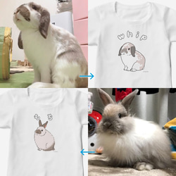 うさぎの種類Tシャツ 名前+毛色オーダーページ 5枚目の画像