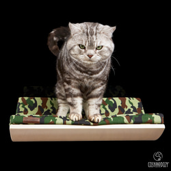 在庫限り｜空飛ぶ猫シェルフB（メープルxカモフラピンク）猫ベッド キャットシェルフ 1枚目の画像