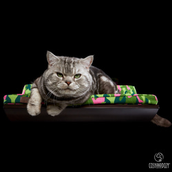 【空飛ぶ猫】シェルフB（ウェンジ＆カモフラブラウン）猫ベッド シェルフ キャットウォーク 1枚目の画像