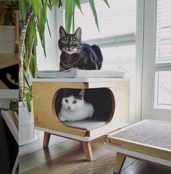 受注製作｜木製 猫ベッド キャットハウス 兼 コーヒーテーブル ミッド