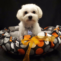 受注製作｜丸洗いOK 高品質リバーシブル 防水 ペットベッド 犬猫（オレンジドット×グレー） 3枚目の画像