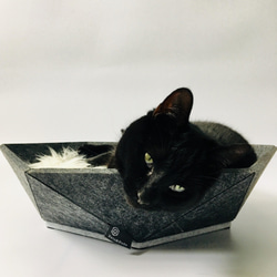 即納｜Atomo（濃灰色）選べるクッション 犬と猫のベッド 3枚目の画像