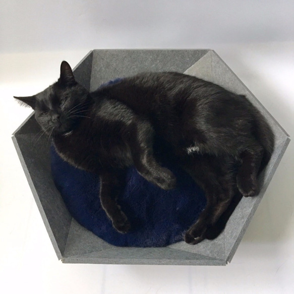 即時交付| Atomo（灰色）復古現代貓床簡約北歐斯堪的納維亞黑貓 第2張的照片